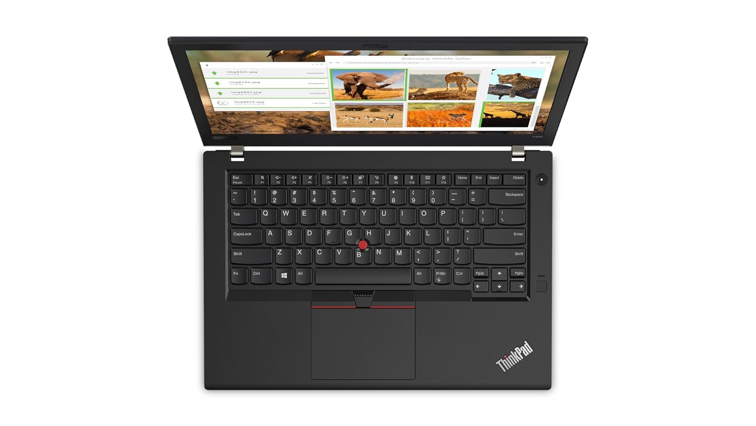 Lenovo ThinkPad T480 Intel Core i5 8th Gen 14-inch Full HD Thin and Light Laptop (16GB RAM/ 512 GB SSD/Windows 10 Professional/Black/ 1.58 kg)